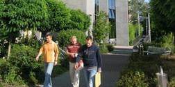 Oevermann Networks